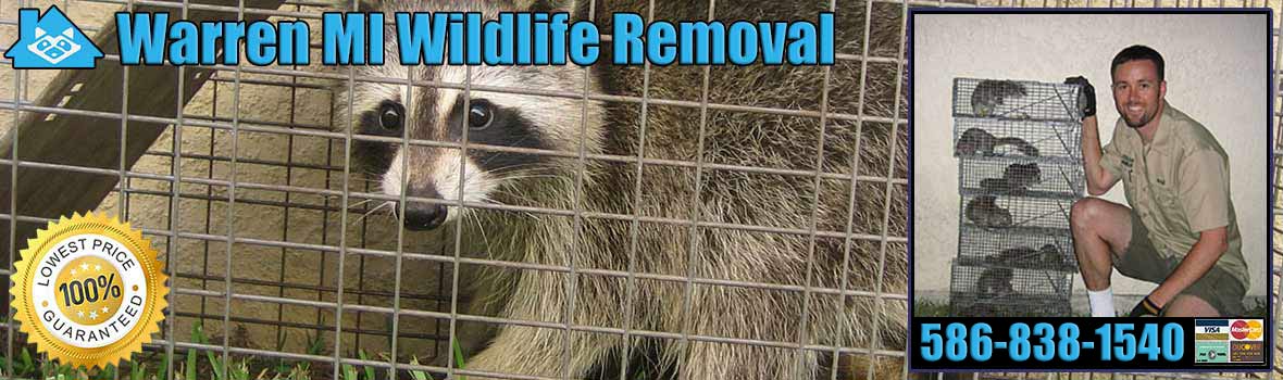 Warren Wildlife and Animal Removal